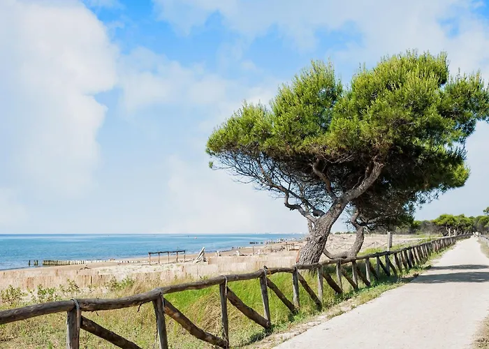 Flat With Terrace Near The Sea 比比翁
